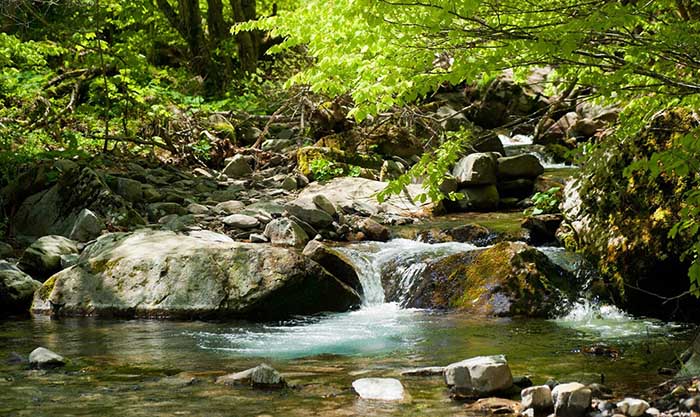 Appennino natura incontaminata